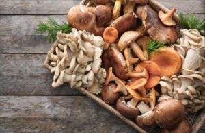 Beneficiile consumului de ciuperci beneficiile-consumului-de-ciuperci