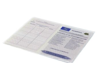 Talonul auto: Află ce este și ce informații găsești în el talonul-auto-ce-este-si-ce-informatii-gasesti-in-el